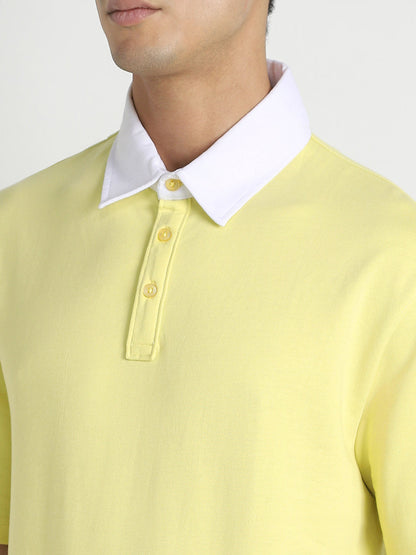 Multi-Panel Polo